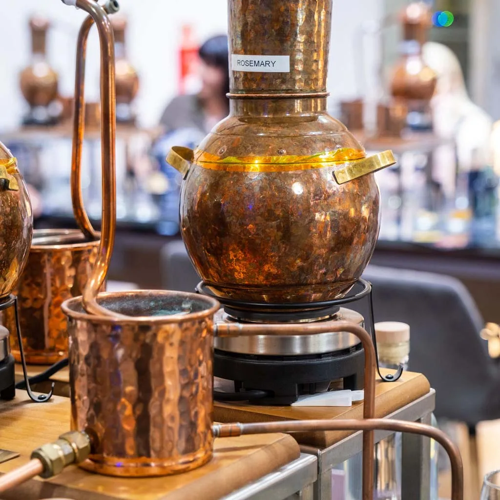 gin school cheshire