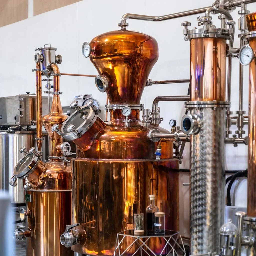 gin school cheshire