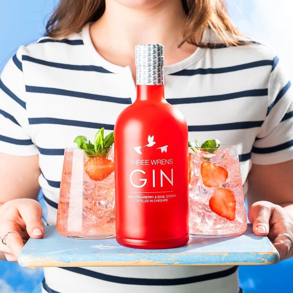 wild strawberry gin tumbler glasses spritzers
